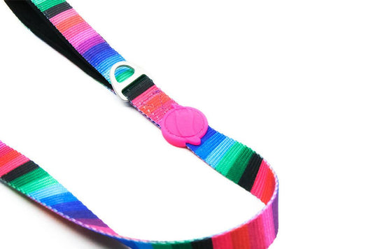 Dog leashes dog leads for Labradors Durable, for English Bulldogs, Cocker Spaniels, for active Border Collies,Terrier dog harness ensuring perfect control and fit, Colorful dog leads dog leashes for Jack Russell Terrier, French Bulldogs, for German Shepherds. Easy to use, for Boxer dogs. Premium dog leads dog leashes designed for the comfort of Golden Retrievers