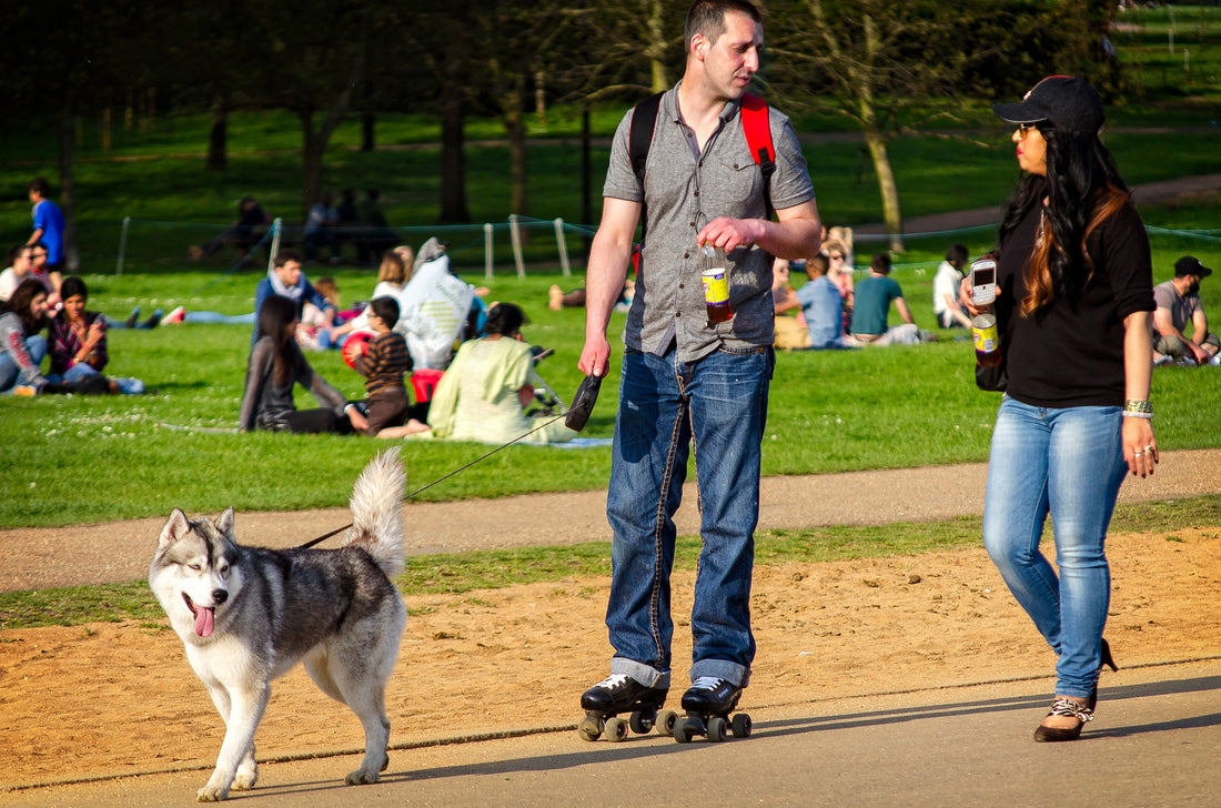Unleashing Fun at London's Best Dog Parks: A Detailed Guide for Dog Owners