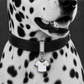 Los Blancos Jersey ID Tag