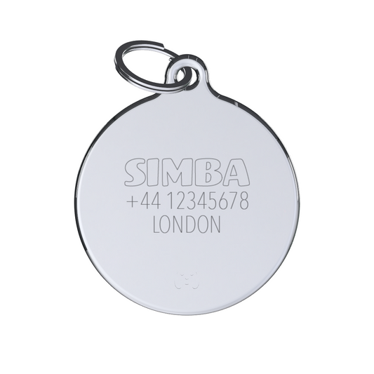 Icon Bone Pink ID Tag Medium