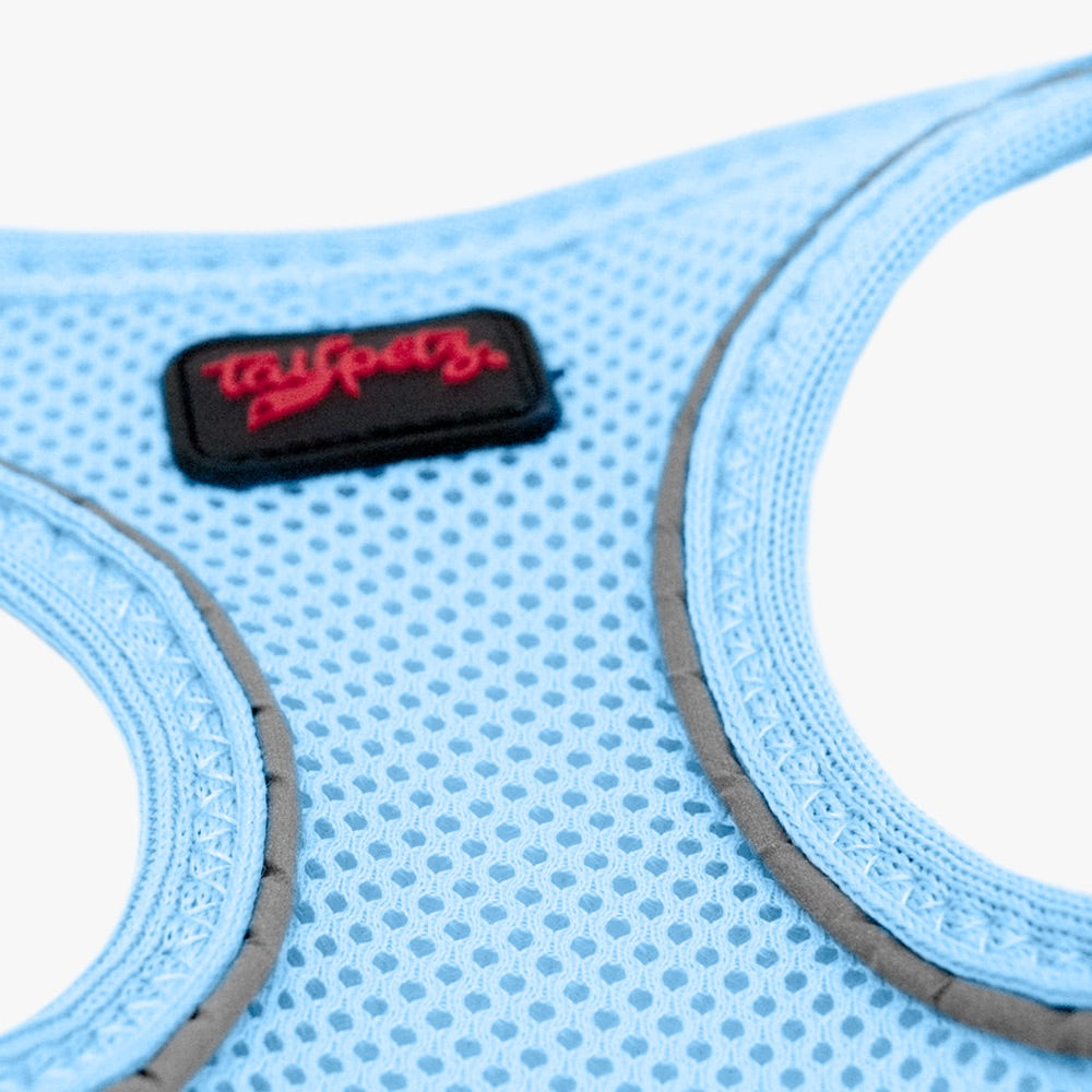 Blue Air Mesh Harness