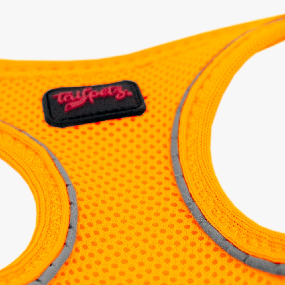 Neon Orange Air Mesh Harness