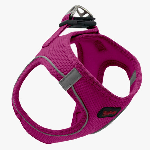 Purple Air Mesh Harness