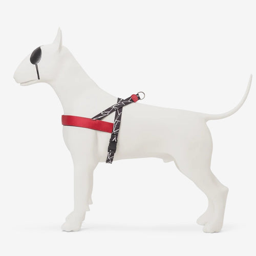 Broken Self Norwegian Harness