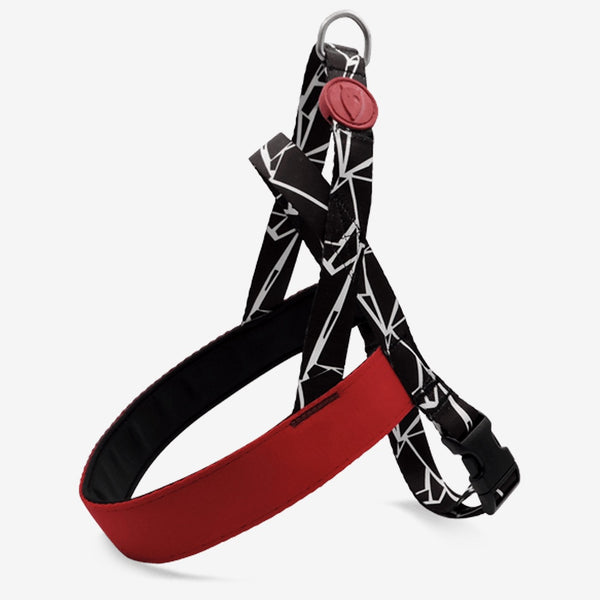 Broken Self Norwegian Harness