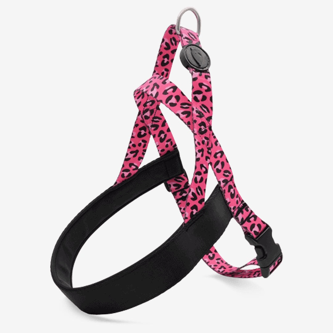 Bubble Leo Norwegian Harness