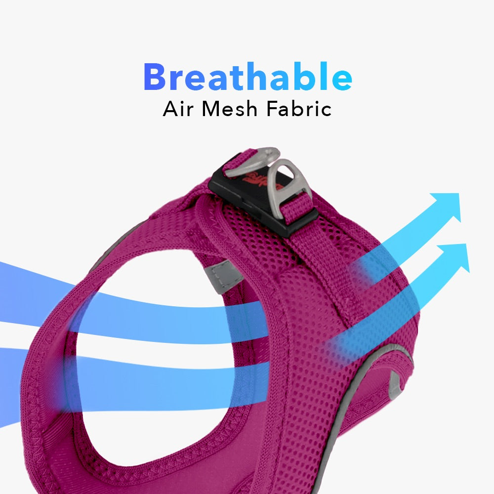 Purple Air Mesh Harness