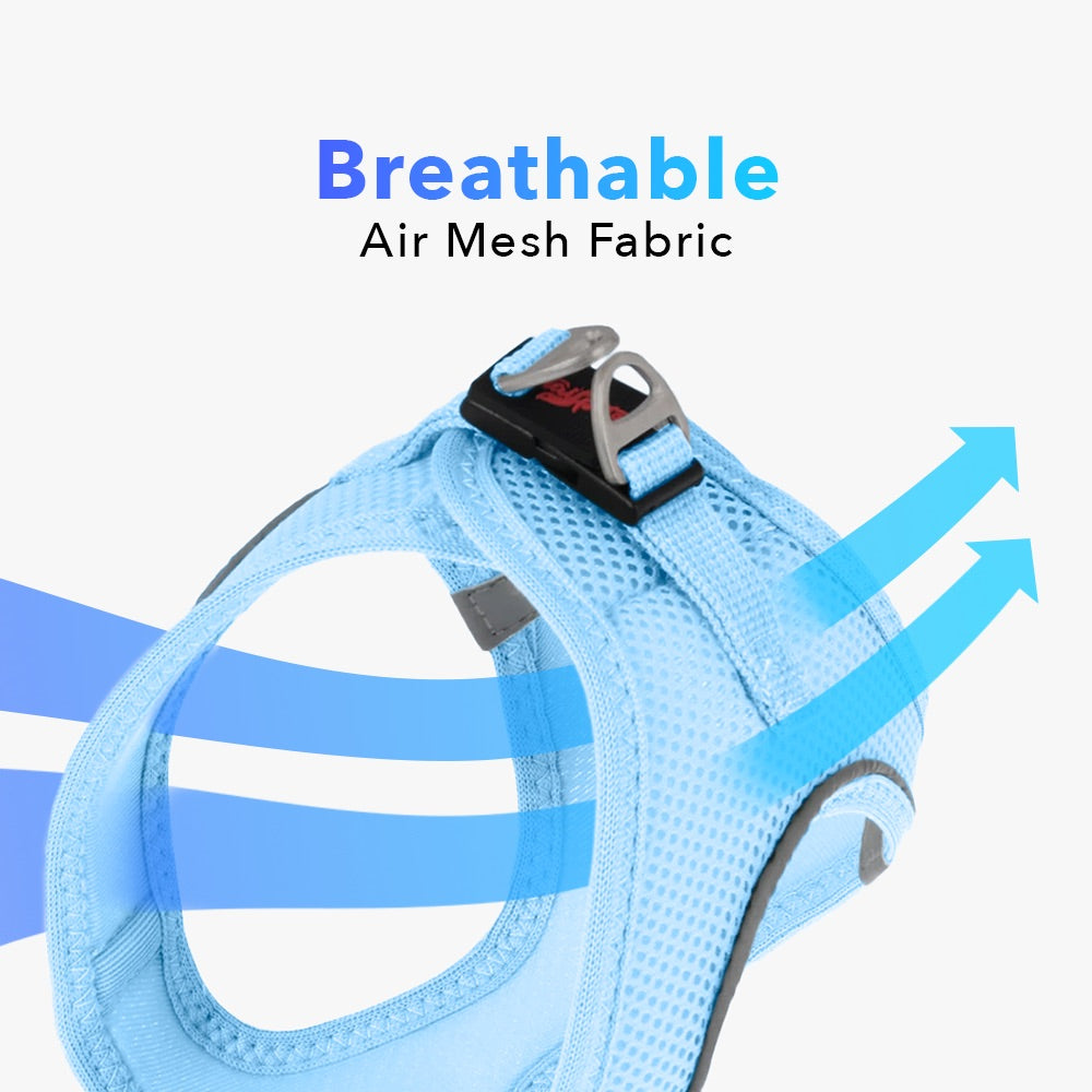 Blue Air Mesh Harness