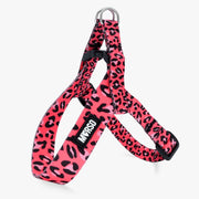 Bubble Leo Adjustable Mini Harness