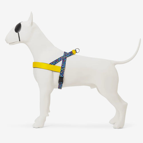 Color Invaders Norwegian Harness
