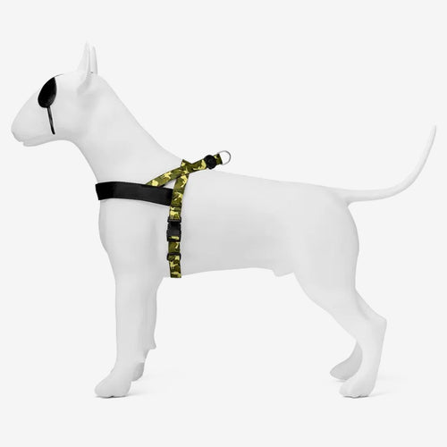 Full Metal Dog Norwegian Harness