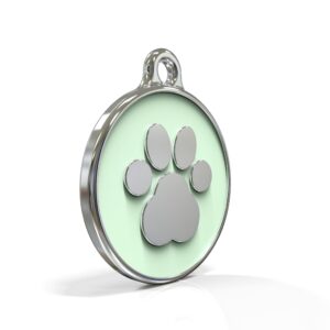 Icon Paw Pistachio ID Tag
