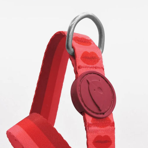 Lipstick Norwegian Harness