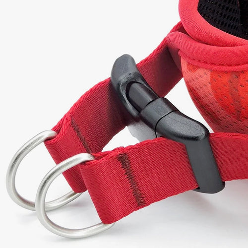 Lipstick Body Mesh Harness