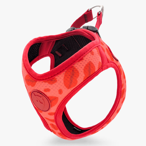 Lipstick Body Mesh Harness