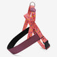 Pink Think Norwegian Harness