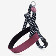 Power Flow Norwegian Harness
