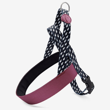 Power Flow Norwegian Harness