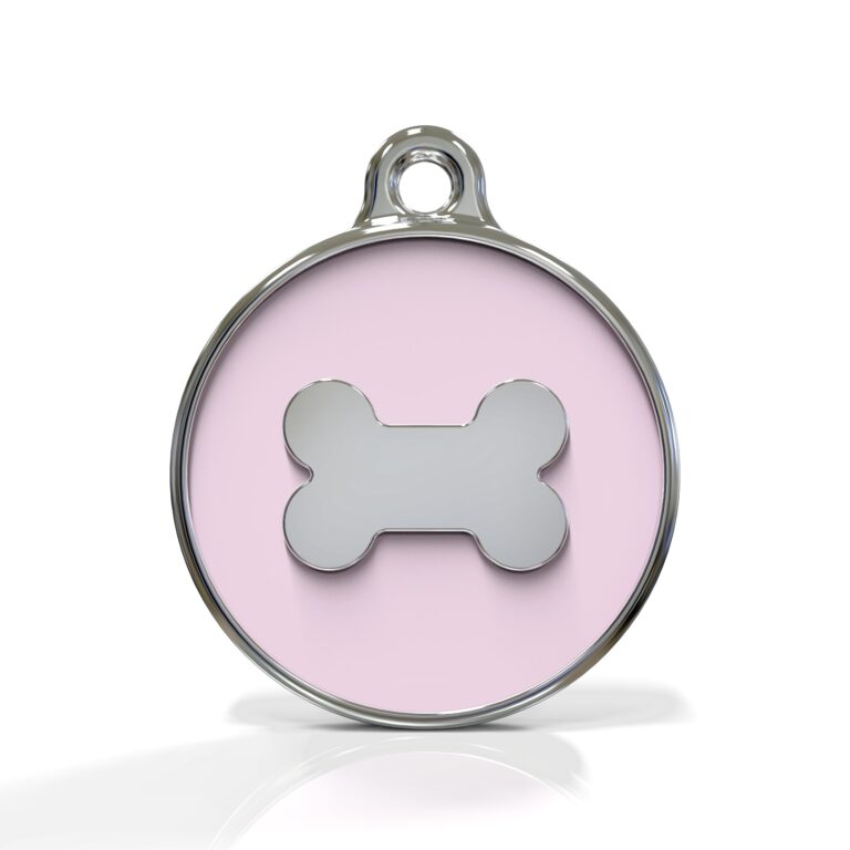 Icon Bone Ballet ID Tag