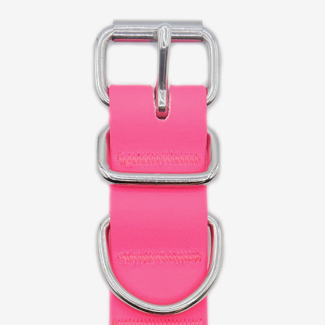 Passion Pink Waterproof Dog Collar