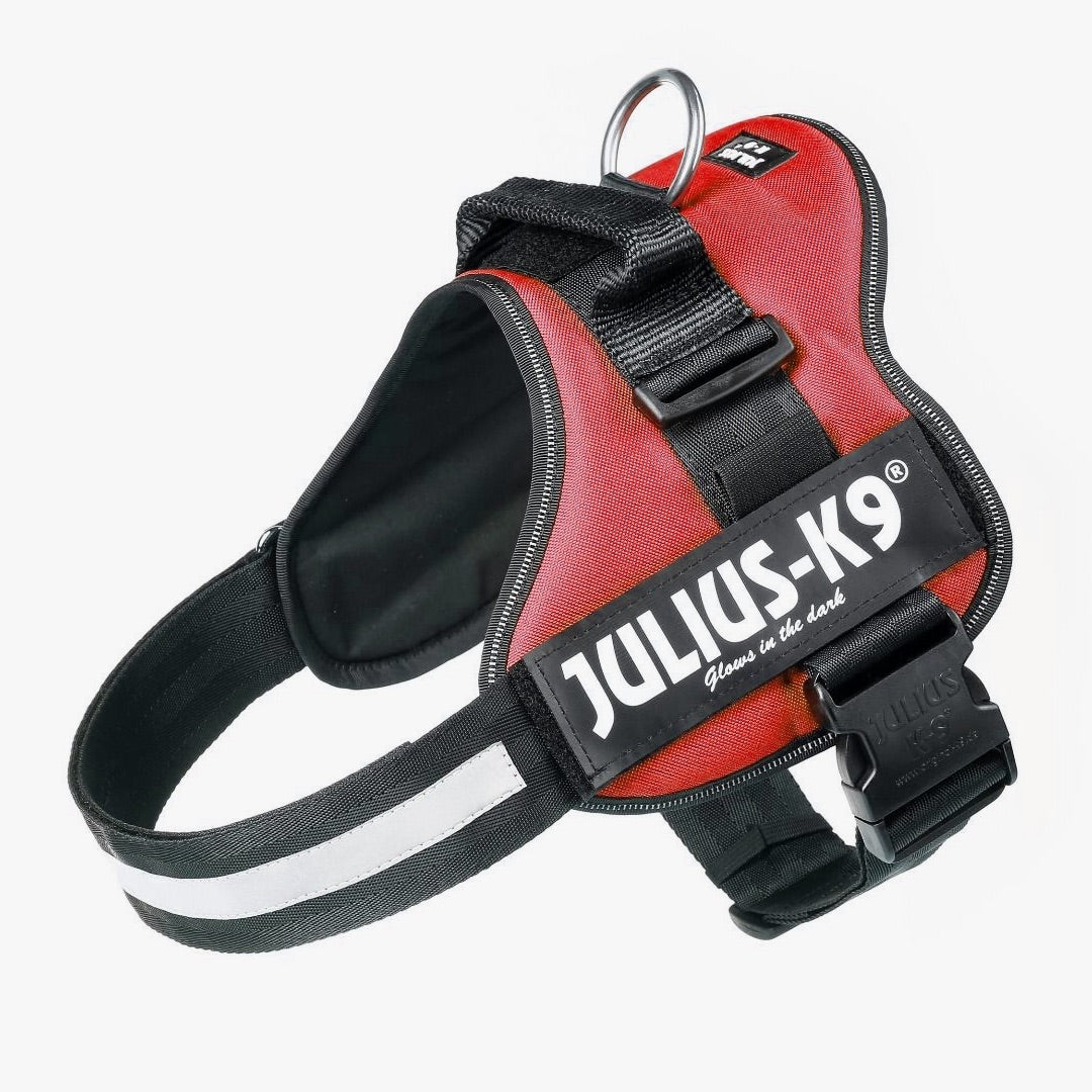 Julius-K9 Power Harness - Red