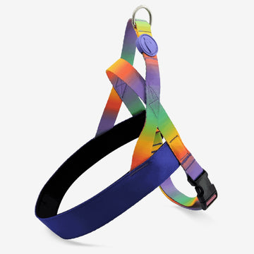 Spring Blossom Norwegian Harness
