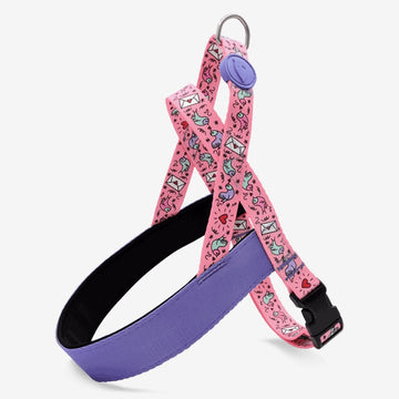 Sweet Tweet Norwegian Harness