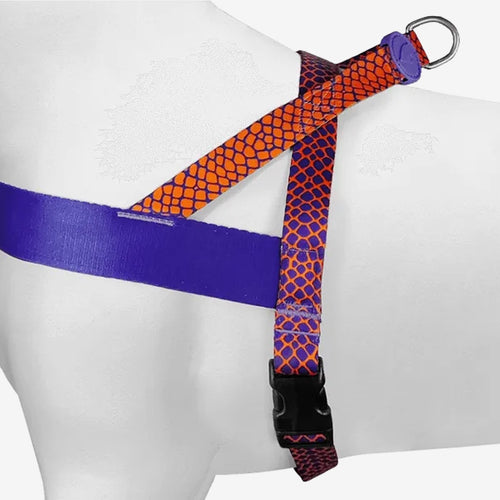 Urban Lizard Norwegian Harness