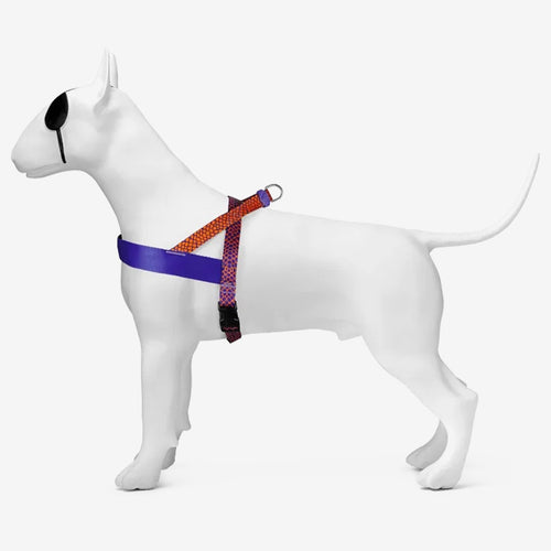 Urban Lizard Norwegian Harness
