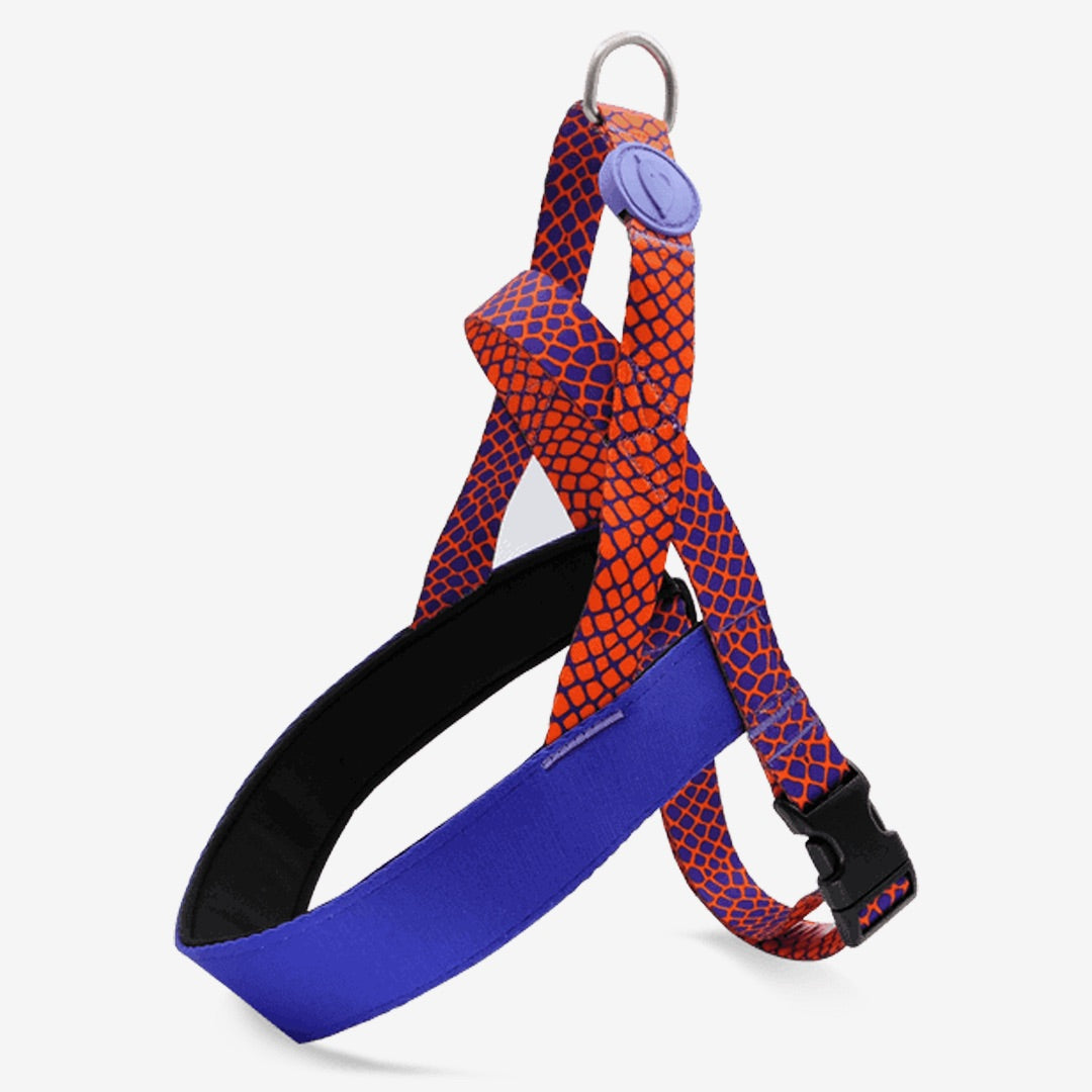 Urban Lizard Norwegian Harness