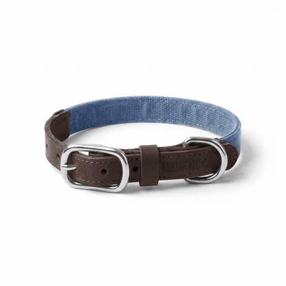 NeueNoble Dog Collar Blue