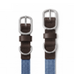 NeueNoble Dog Collar Blue