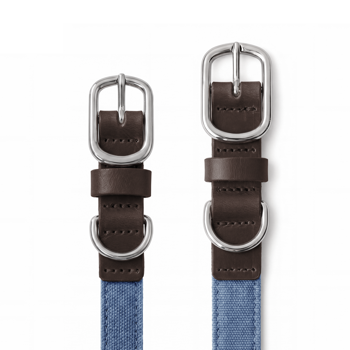 NeueNoble Dog Collar Blue