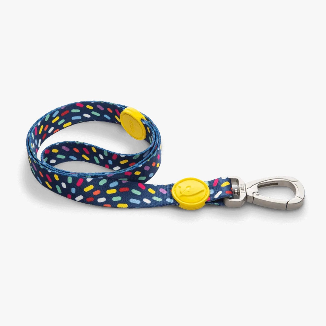 Color Invaders Classic Dog Lead