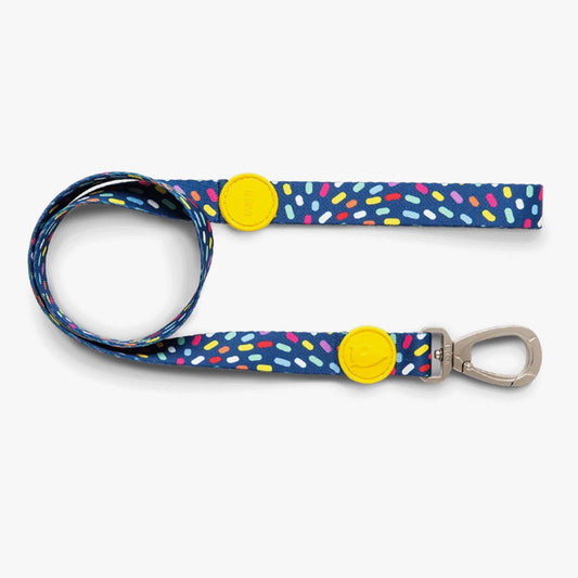 Color Invaders Classic Dog Lead