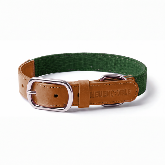 NeueNoble Dog Collar