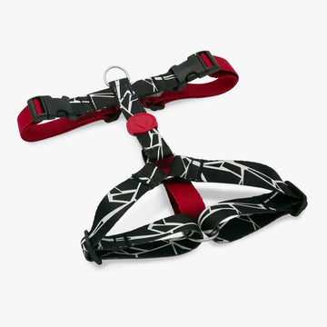 Broken Self H-Harness
