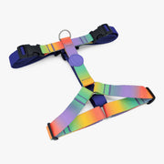 Spring Blossom H-Harness