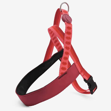 Lipstick Norwegian Harness