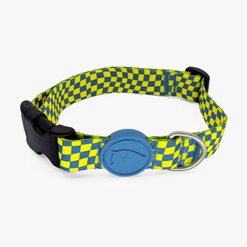 Race Dog Collar