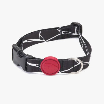 Broken Self Dog Collar