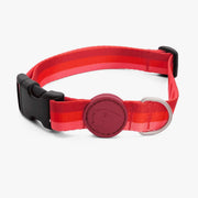 Lipstick Line Dog Collar