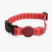 Lipstick Dog Collar