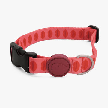 Lipstick Dog Collar