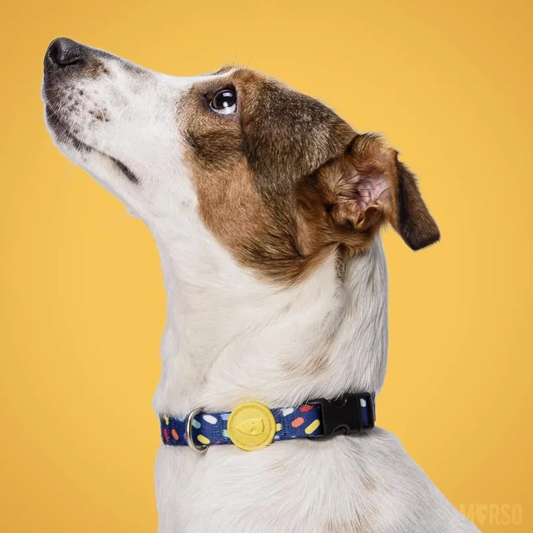 Color Invaders Dog Collar