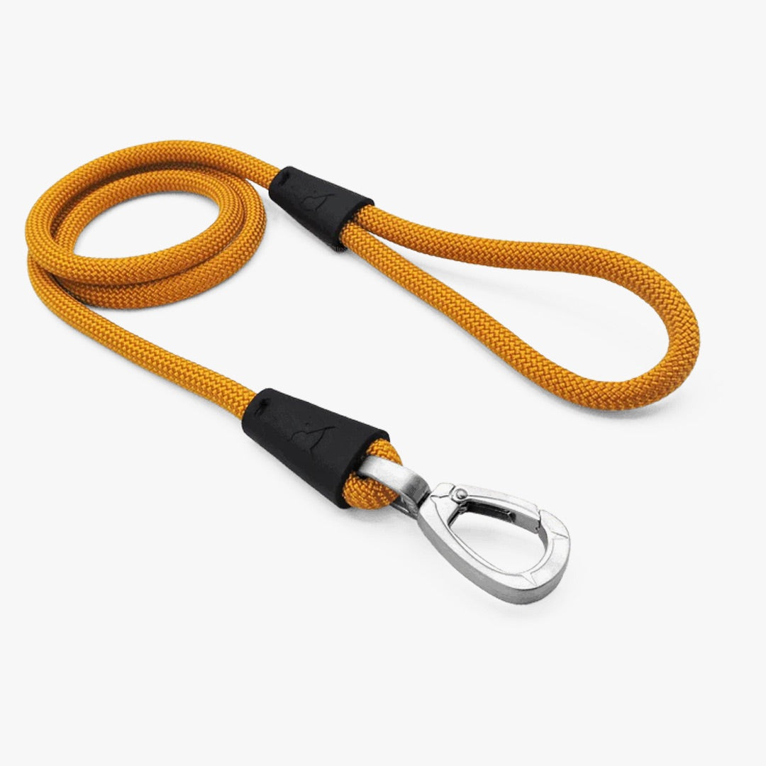 Regular Touch Rope Dog Lead - Gold