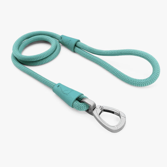 Regular Touch Rope Dog Lead - Aquamarine