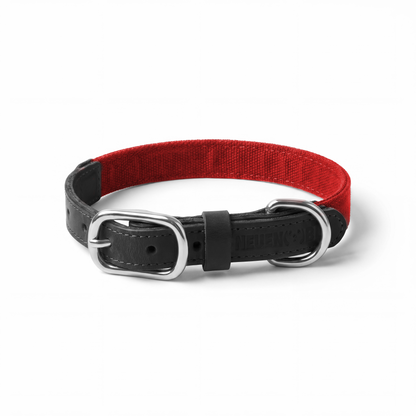 NeueNoble Dog Collar Red