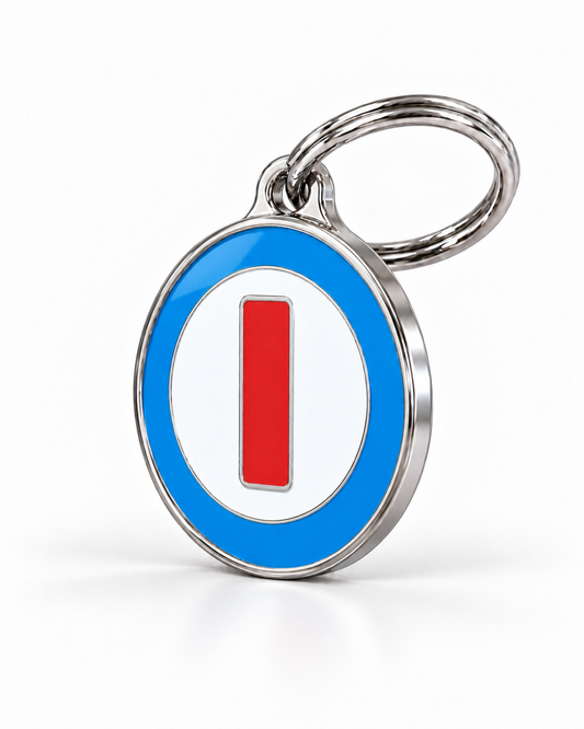TAGiDOG letter I dog ID tag, angled view