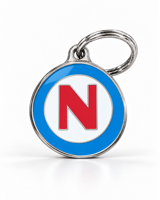 TAGiDOG letter N dog ID tag, round front view on white